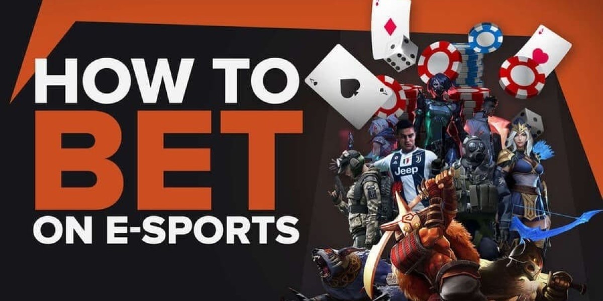 Exploring the Thrills of Sports Betting